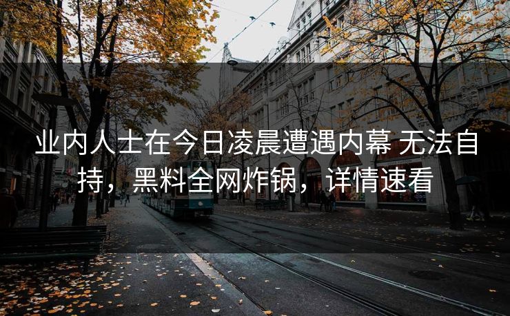 业内人士在今日凌晨遭遇内幕 无法自持，黑料全网炸锅，详情速看