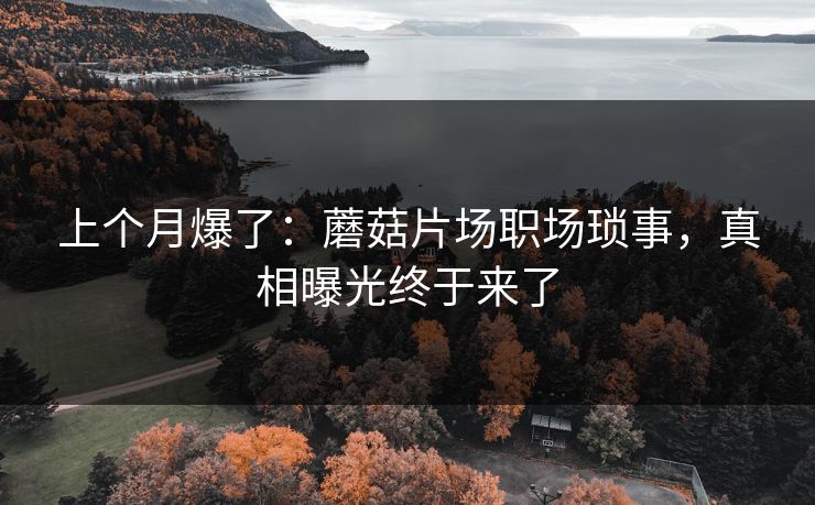 上个月爆了:蘑菇片场职场琐事,真相曝光终于来了 上个月爆了:蘑菇片场职场琐事,真相曝光终于来了